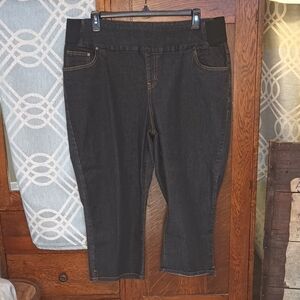 Woman Within Black Elastic Waist Pull On Pedal Pusher Capris 24W